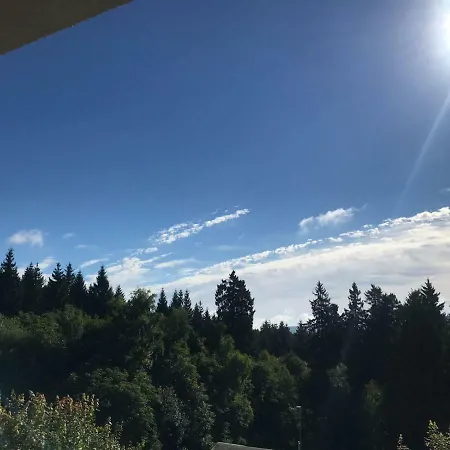 Hahnenklee 1-411 גוסלר