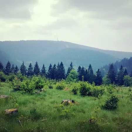 Lejlighed Hahnenklee 1-411 Goslar