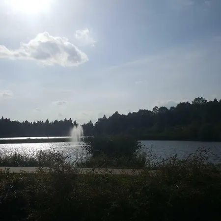 Lejlighed Hahnenklee 1-411