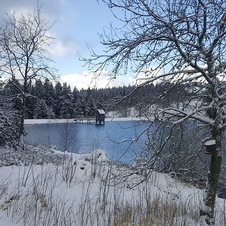 Hahnenklee 1-411 Lejlighed *