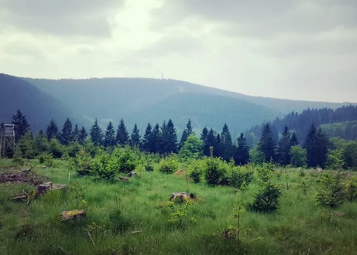 Appartement Hahnenklee 1-411 Goslar