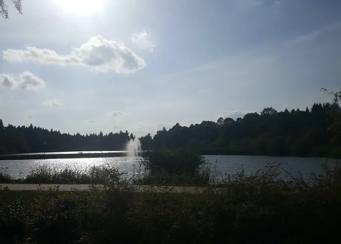 Lejlighed Hahnenklee 1-411