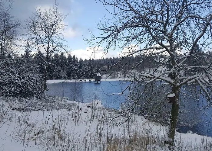 Hahnenklee 1-411 Appartement *